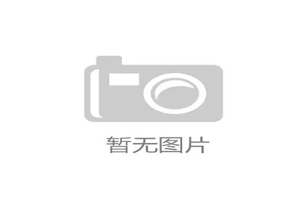 罗德里与坎特的控球分布如何塑造球队体系依赖差异